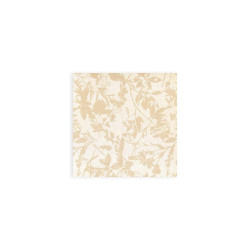 ctatrade–Pack Service Italia