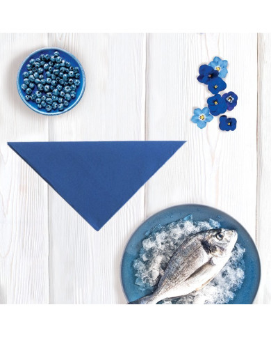 Tovaglioli monouso blue AirWave Tovaglioli monouso colore Blue per la ristorazione Tissue AirWave in vari formati disponibili  