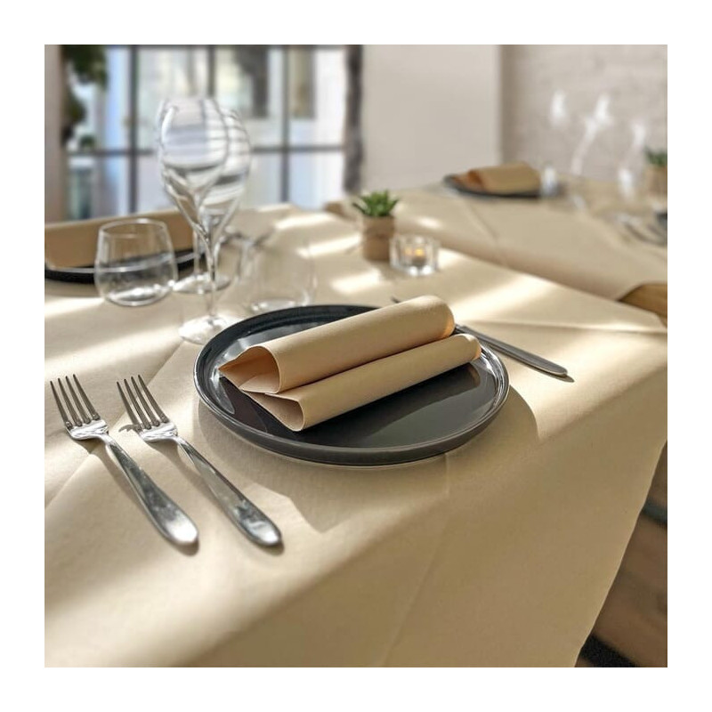 Plus Natural in airlaid–ctatrade