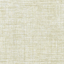 ctatrade–Pack Service Italia