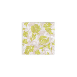 ctatrade–Pack Service Italia