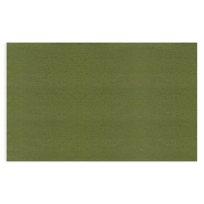 Tovagliette monouso 30x48 cm. Recycled Verde-Pack Service Italia
