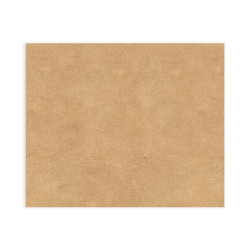 ctatrade–Pack Service Italia