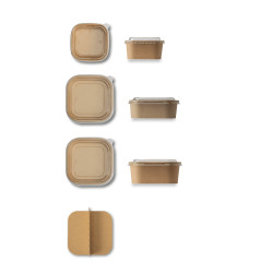 Contenitori quadrati insalatiera