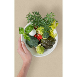 Contenitore Insalatiere tonde e coperchi