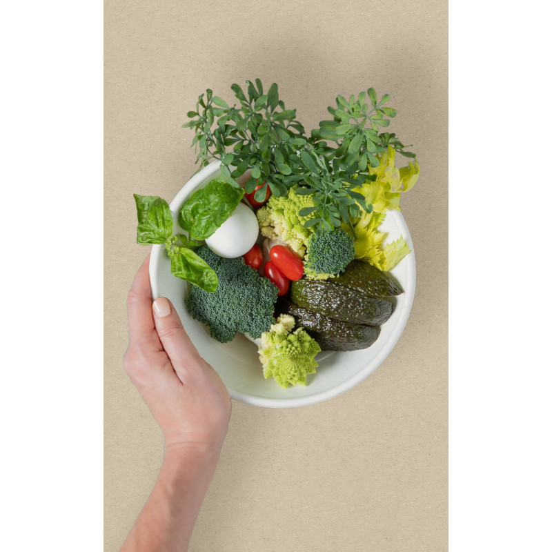 Contenitore Insalatiere e coperchi-ctatrade