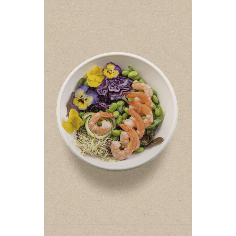 Contenitore Insalatiere e coperchi-ctatrade