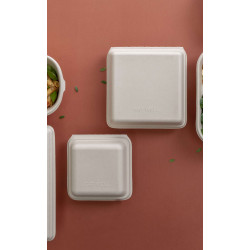 Conchiglia quadrata pulp