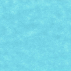 ctatrade–Pack Service Italia