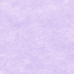 ctatrade–Pack Service Italia