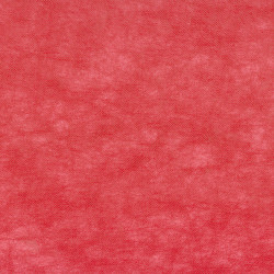 ctatrade–Pack Service Italia