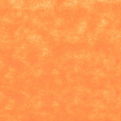 ctatrade–Pack Service Italia