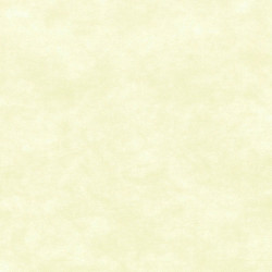 ctatrade–Pack Service Italia