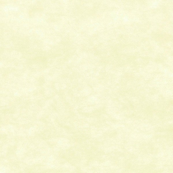 Tovagliette monouso 30x48 cm. Brigitte Verde-ctatrade-Pack Service Italia