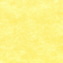 ctatrade–Pack Service Italia