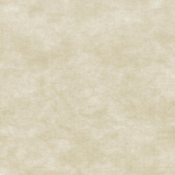 ctatrade–Pack Service Italia