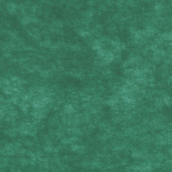 ctatrade–Pack Service Italia