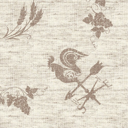 ctatrade–Pack Service Italia