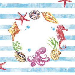 ctatrade–Pack Service Italia