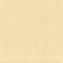 ctatrade–Pack Service Italia