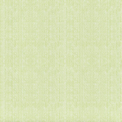 ctatrade–Pack Service Italia