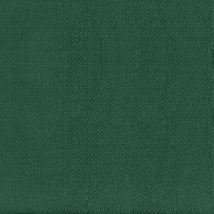 Tovagliolo Airwave 40x40 Color Verde-ctatrade