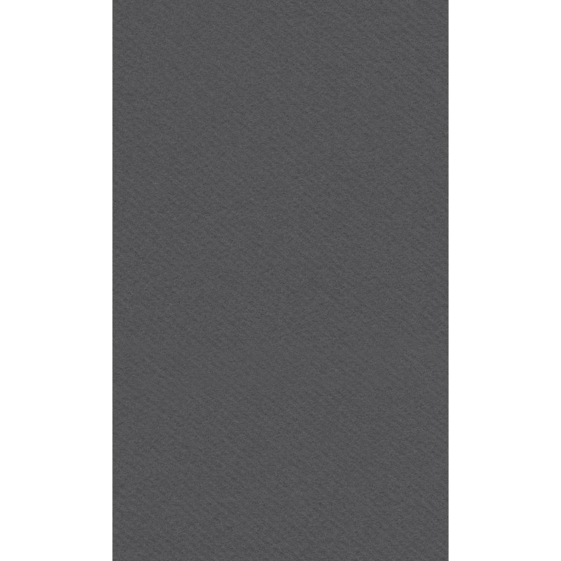 Tovagliolo Airlaid 40x24 Color Ardesia-ctatrade