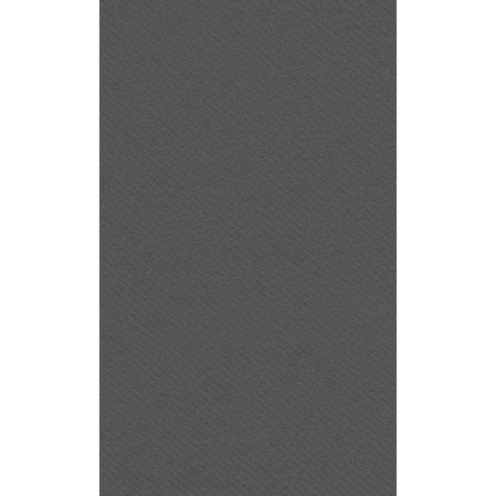 Tovagliolo Airlaid 40x24 Color Ardesia-ctatrade