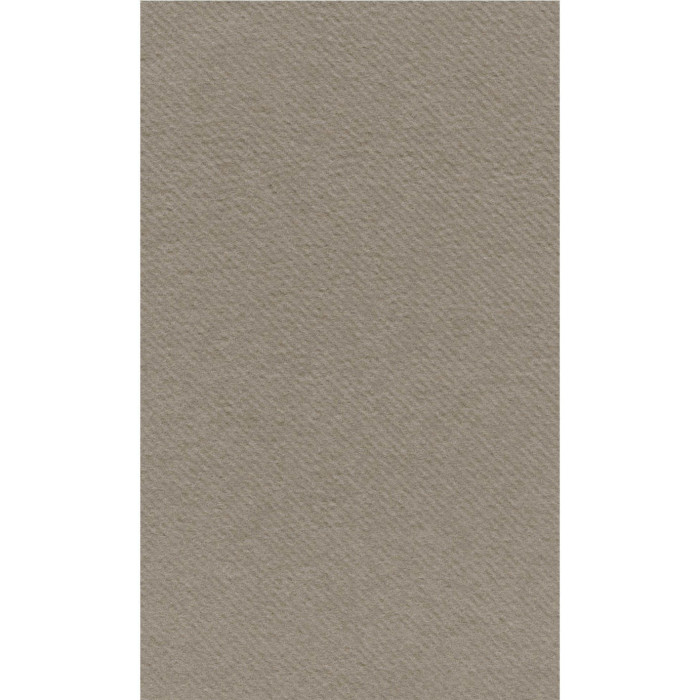 Tovagliolo Airlaid 40x24 Color Creta-ctatrade