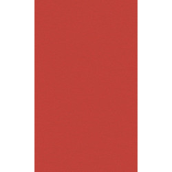 ctatrade–Pack Service Italia