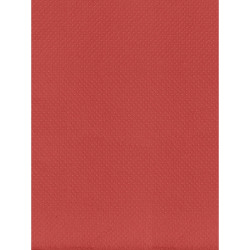 ctatrade–Pack Service Italia