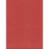 Tovagliolo Airwave 40×30 Color Rosso-ctatrade