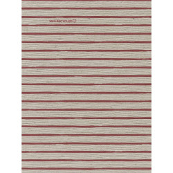 ctatrade–Pack Service Italia