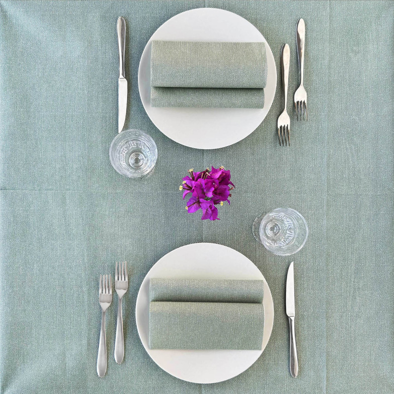 Tea salvia in airlaid–ctatrade