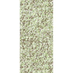 ctatrade–Pack Service Italia