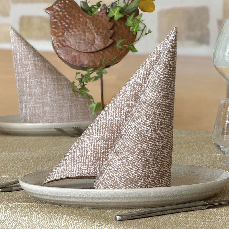 Tovagliolo Airlaid 40x40 Rudy Terra-ctatrade