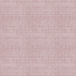 ctatrade–Pack Service Italia