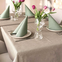 Tea Terra Airlaid Tovaglioli Monouso Premium Eco-friendly
