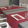 Runner Airlaid Bordeaux 120x48-ctatrade