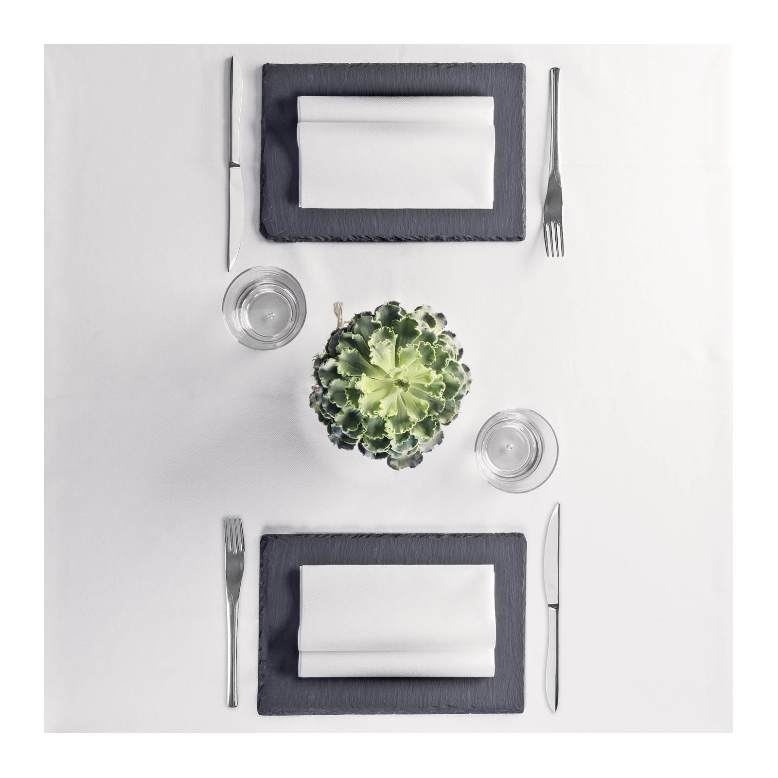 Mono Bianco in airlaid-ctatrade