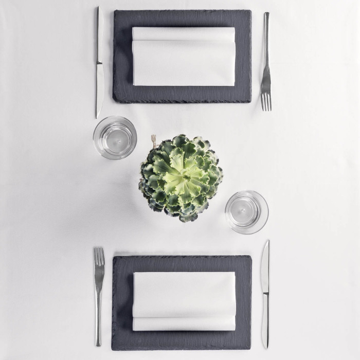 Mono Bianco in airlaid-ctatrade