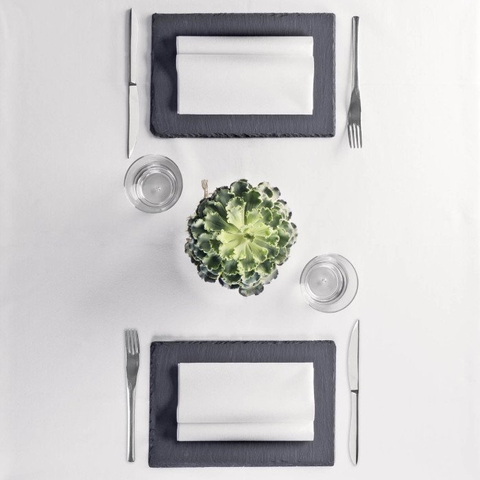 Tovaglia 100x100 Mono Bianco in airlaid-ctatrade-Pack Service Italia