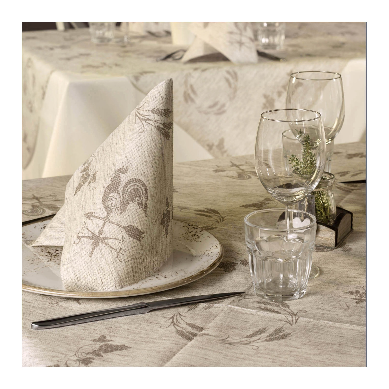 Contadino nocciola airlaid-ctatrade