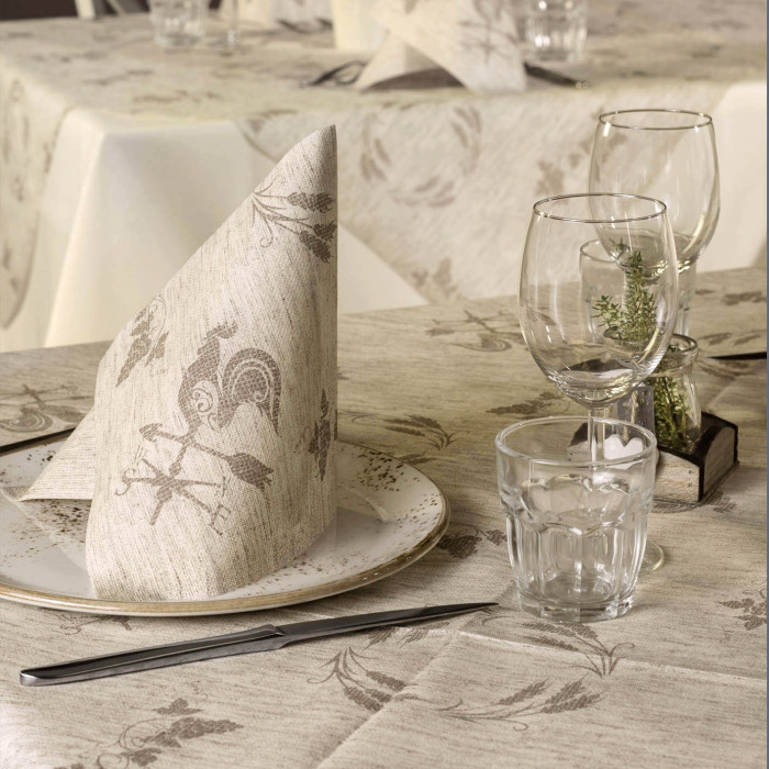 Contadino nocciola airlaid-ctatrade