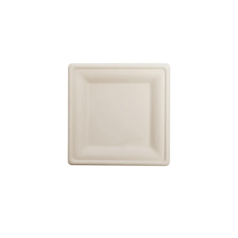Piatto quadrato primeflow polpa cm.20x20-ctatrade-Dampe srl