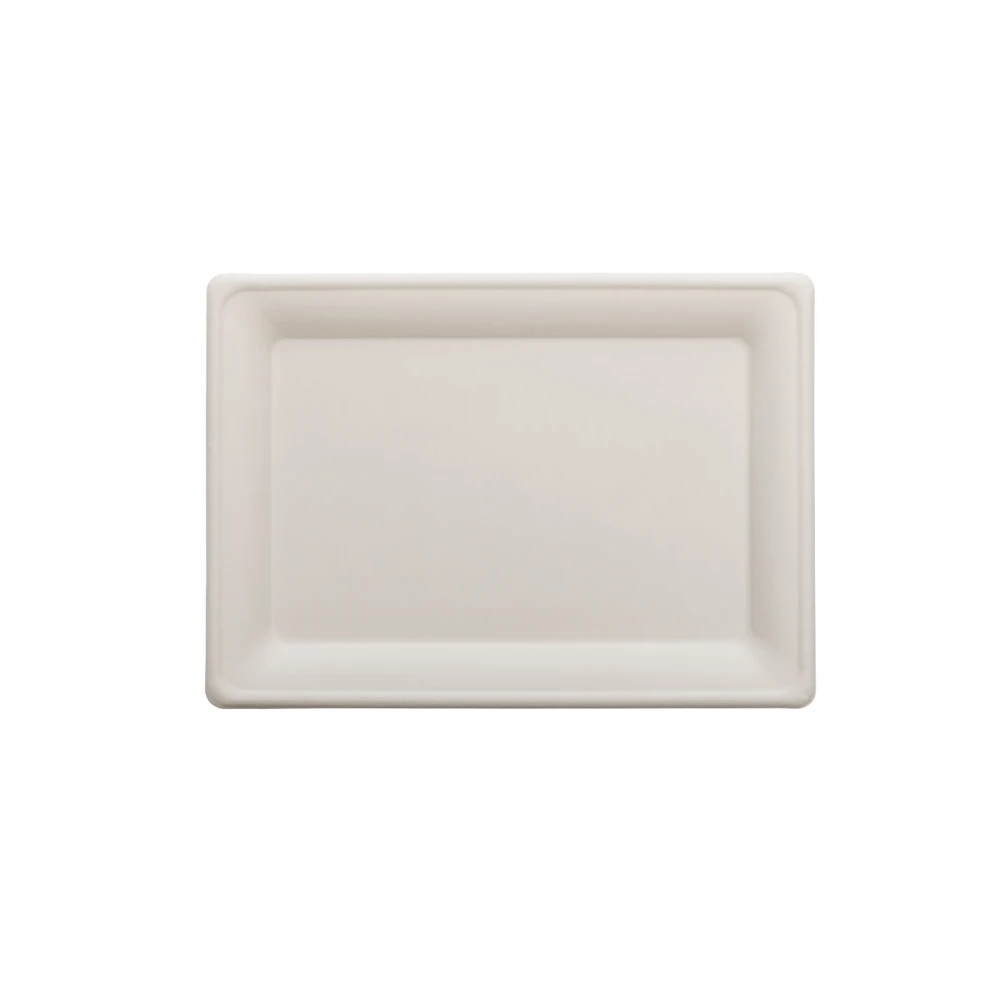 Piatto rettangolare Zen polpa cm.20x28-ctatrade-Dampe srl