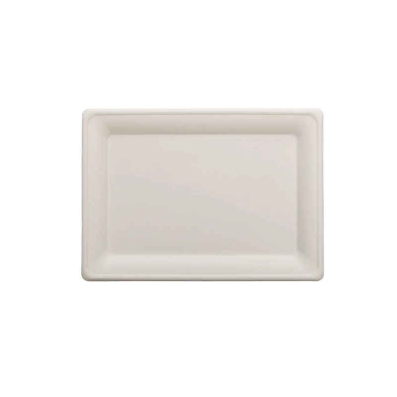 Piatto rettangolare Zen polpa cm.20x28-ctatrade-Dampe srl